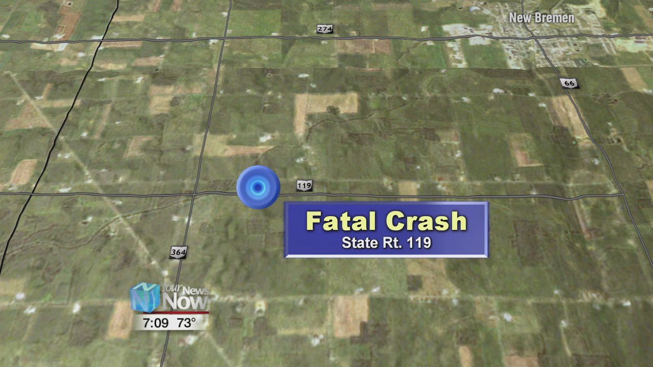 A Mercer County woman was killed in two vehicle crash Friday night